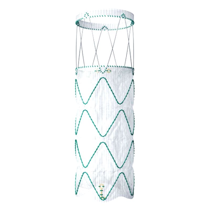 Abdominal Aorta Stent Graft