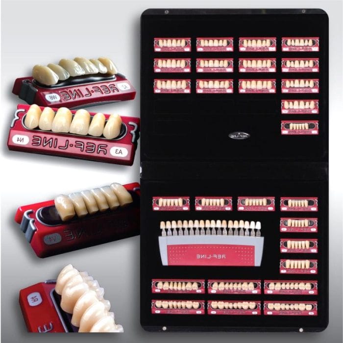 Acrylic Dental Prosthesis 2