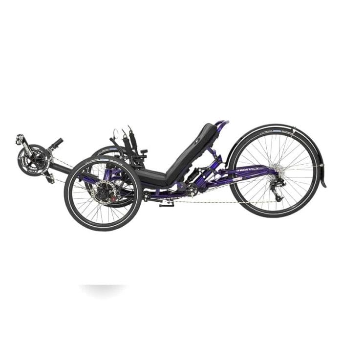 Adult Recumbent Bicycle 3