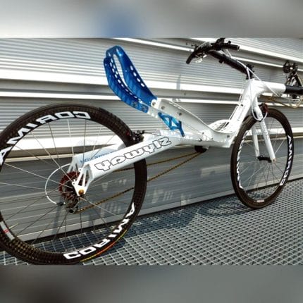 Adult Recumbent Bicycle 1