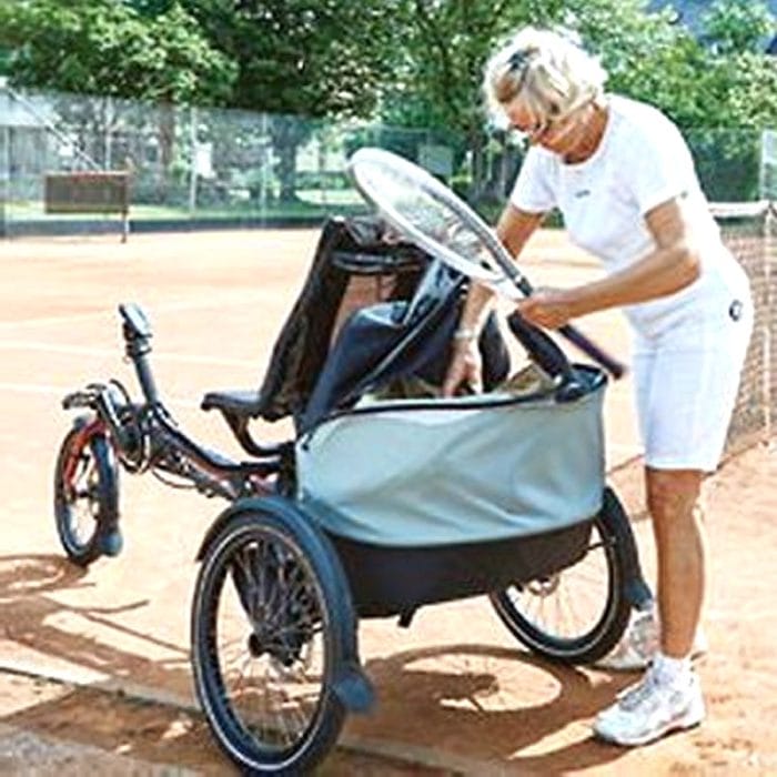 Adult Recumbent Trike 3