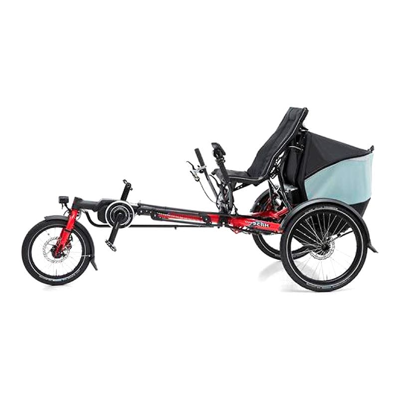 Adult Recumbent Trike