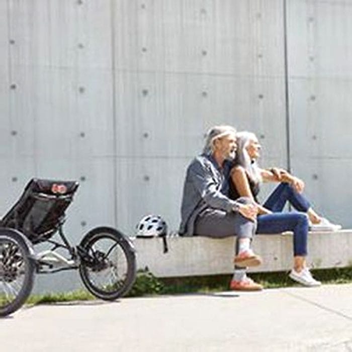 Adult Recumbent Trike 2