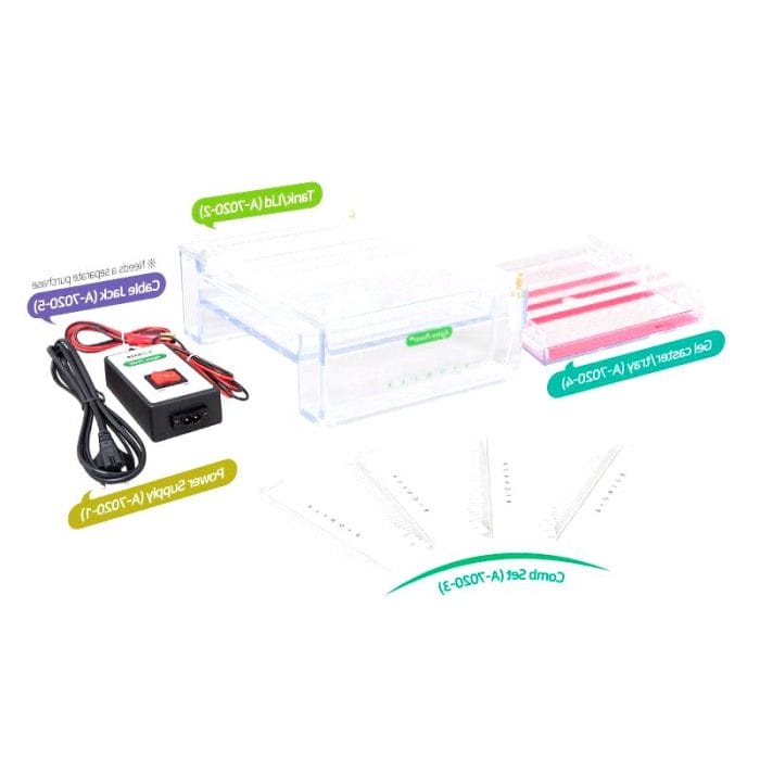 Agarose Gel Electrophoresis System