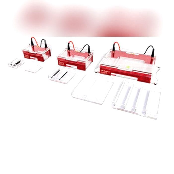 Agarose Gel Electrophoresis System 1