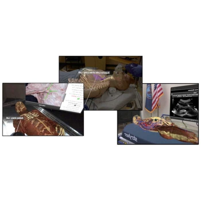 Anatomy Simulation Module