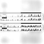 Animal Research Telemetry Implant 2