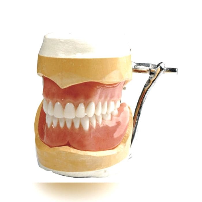 Anterior Teeth Dental Prosthesis 3