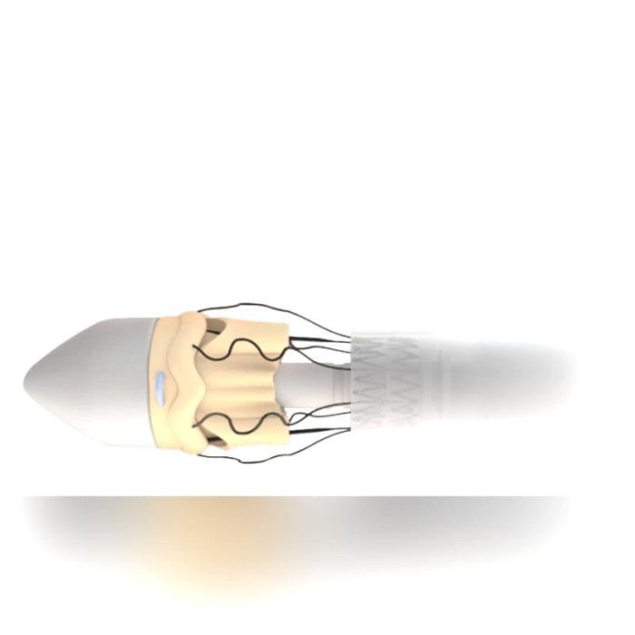 Aortic Valve Bioprosthesis 3