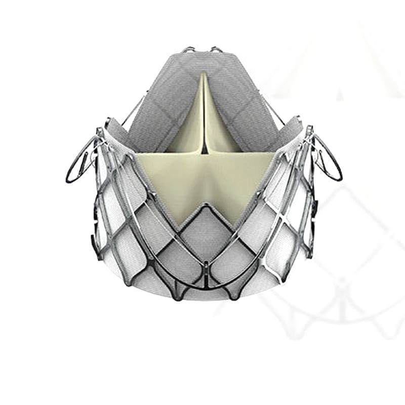 Aortic Valve Bioprosthesis