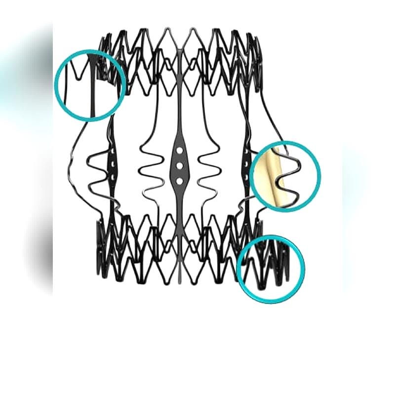 Aortic Valve Bioprosthesis 1