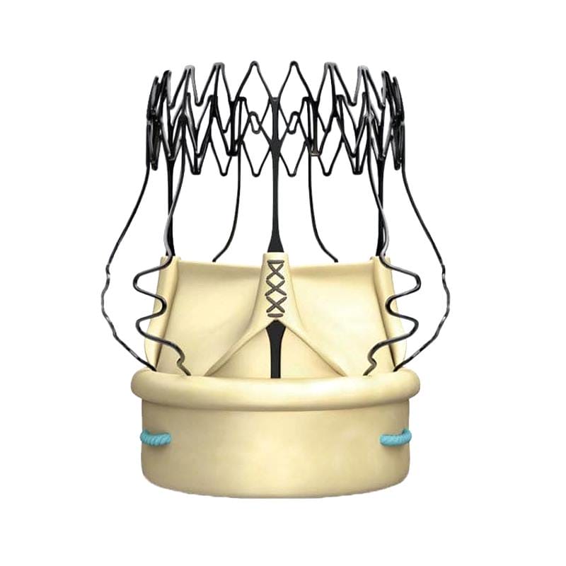 Aortic Valve Bioprosthesis