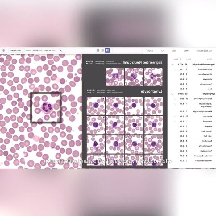 Automatic Cell Imaging System 4