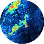 Autoradiography Preclinical Imaging System 3