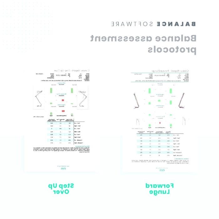 Balance Analysis System 7