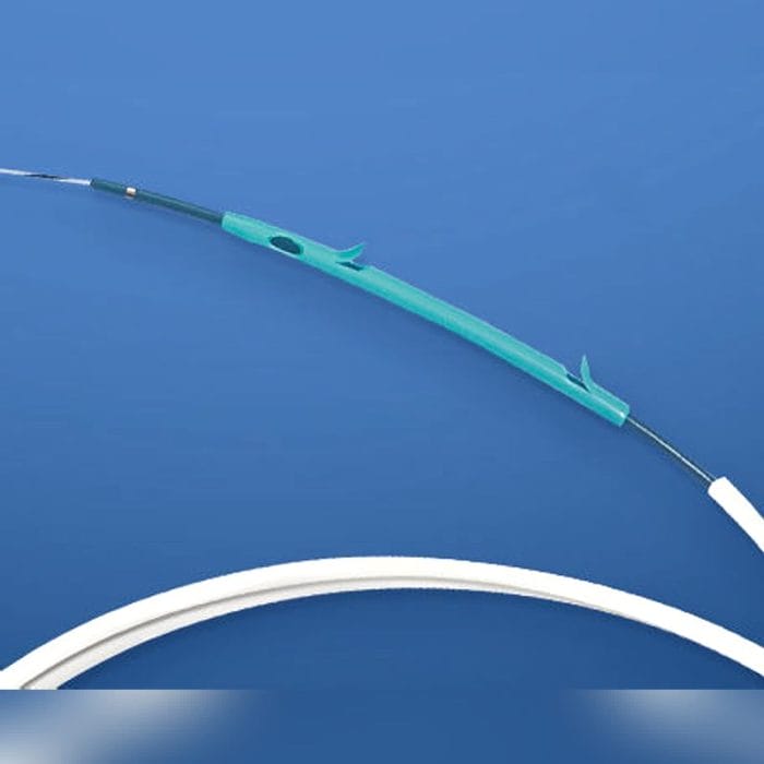 Biliary Access Sheath 2