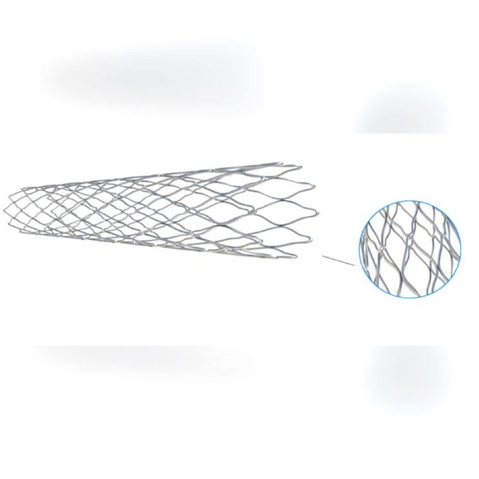 Biliary Stent 3