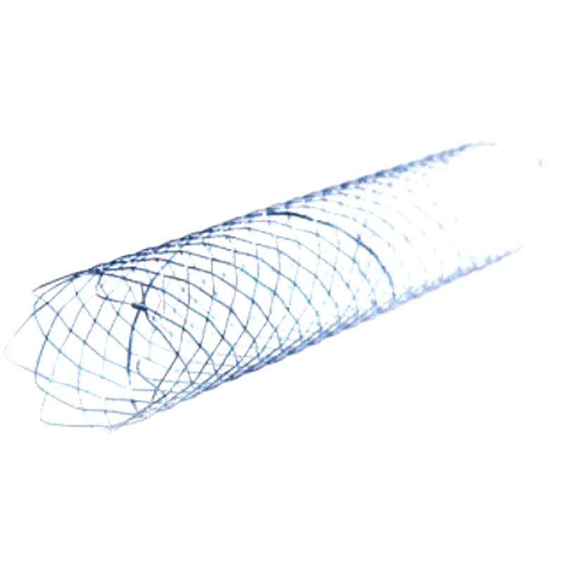 Biliary Stent