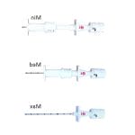 Bone Marrow Aspiration Needle 2