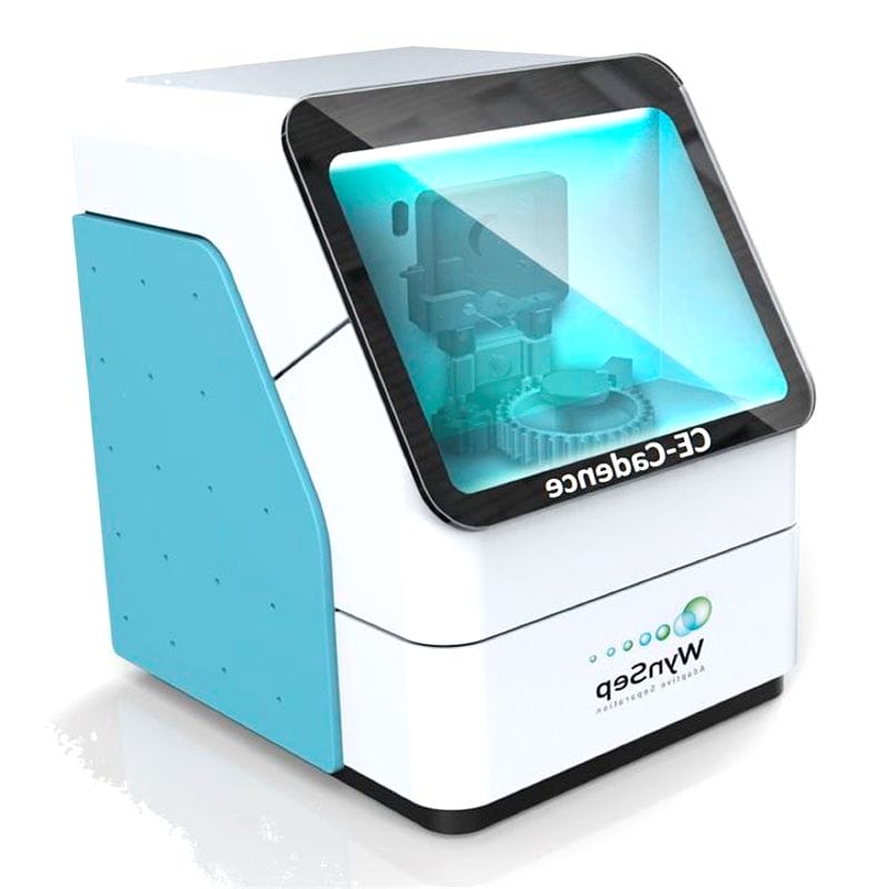 Capillary Electrophoresis System