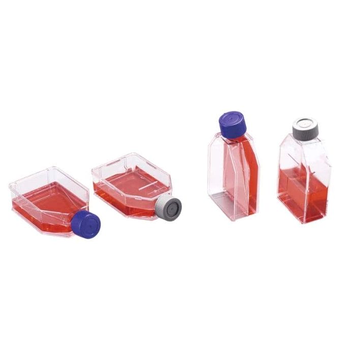 Cell Culture Flask 2