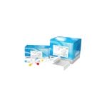 Cervical Cancer Test Kit