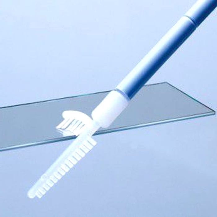 Cervical Cytology Brush 2