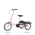 Children Adaptative Tricycle 3