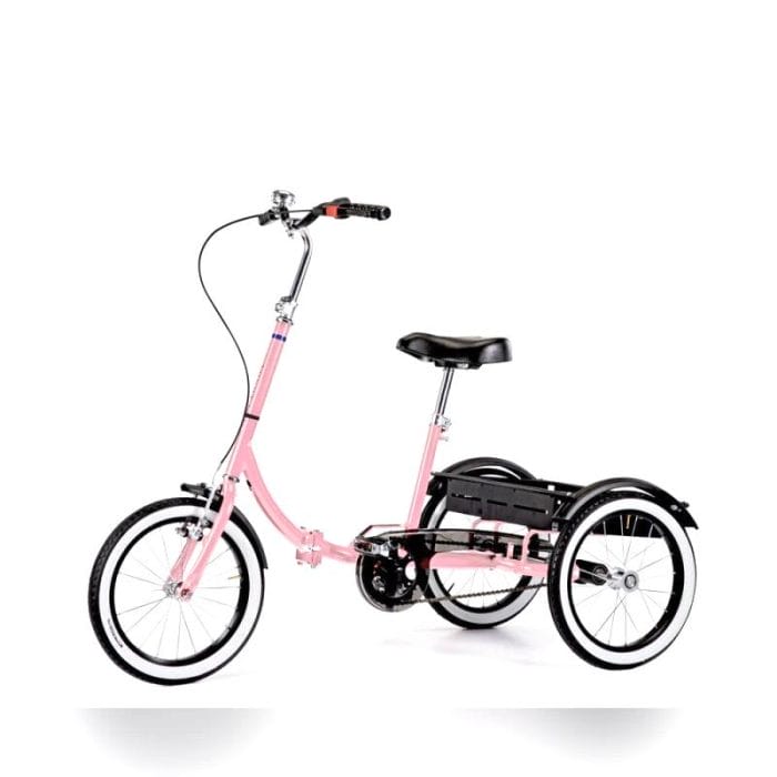 Children Adaptative Tricycle 3