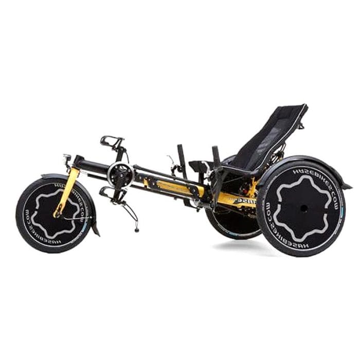 Children Recumbent Trike