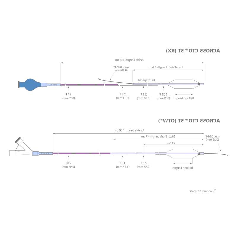 Chronic Total Occlusion Catheter 1