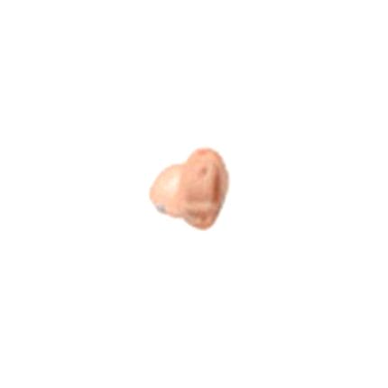 Cic Hearing Aid