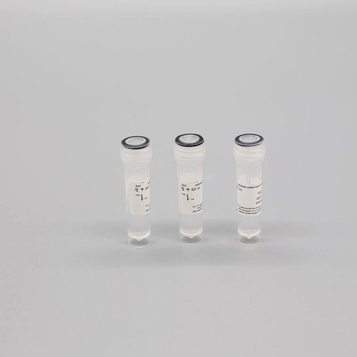 Cylindrical Sample Tube 2