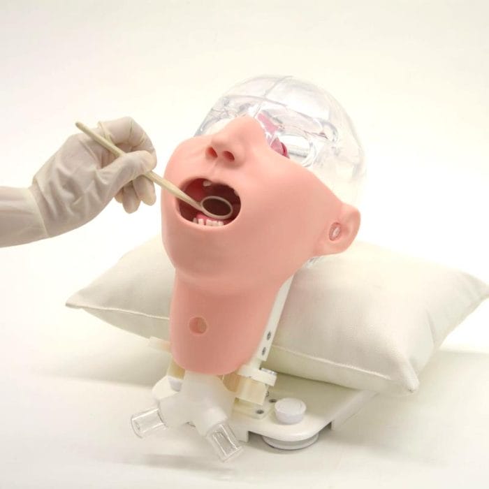 Dental Care Patient Simulator