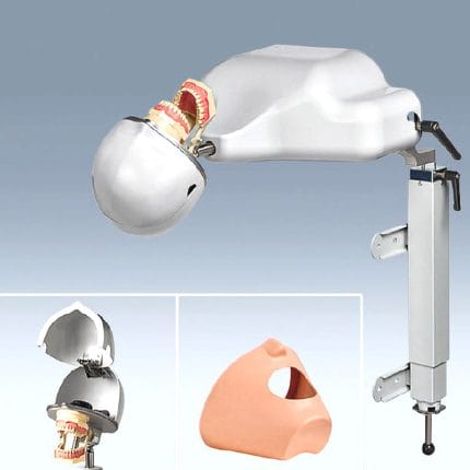 Dental Care Patient Simulator