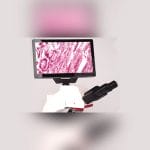 Digital Microscope 1