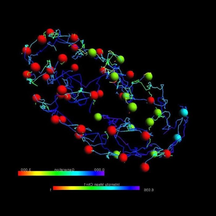 Digital Microscope Software 6