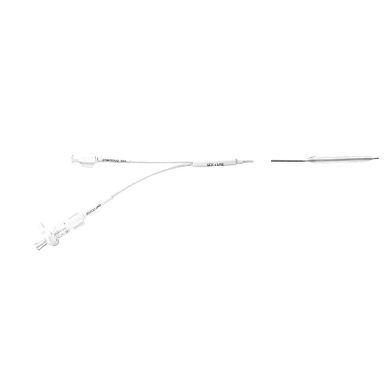 Dilatation Catheter