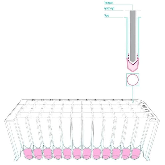 Dna Extraction Microplate 3