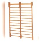Double Rehabilitation Wall Bars