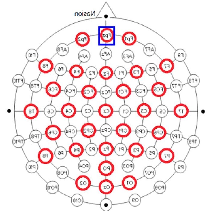 Eeg Amplifier 2