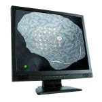 Eeg Software 3