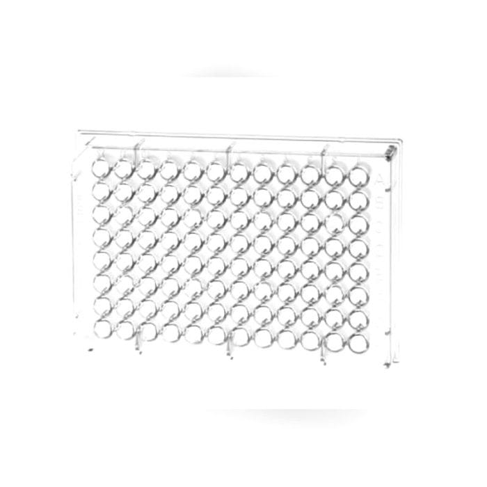 Elisa Microplate 2