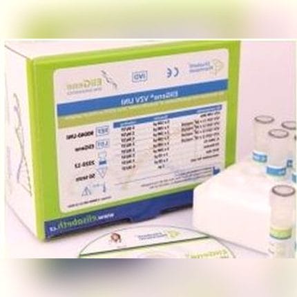 Encephalitis Test Kit