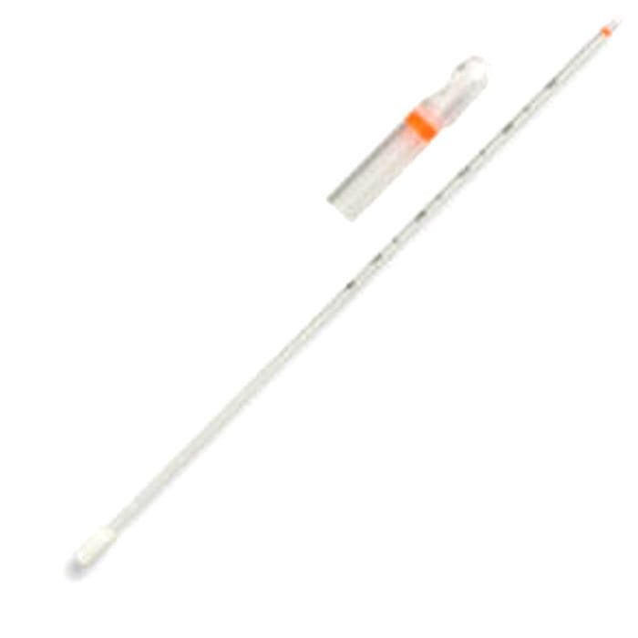 Endometrial Cytology Brush