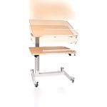 Ergotherapy Table On Casters 5