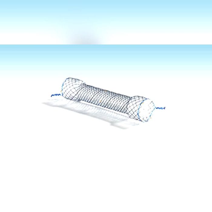 Esophageal Stent 1