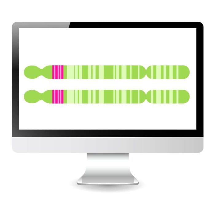 Fhsd Diagnostic Molecular Biology Analyzer