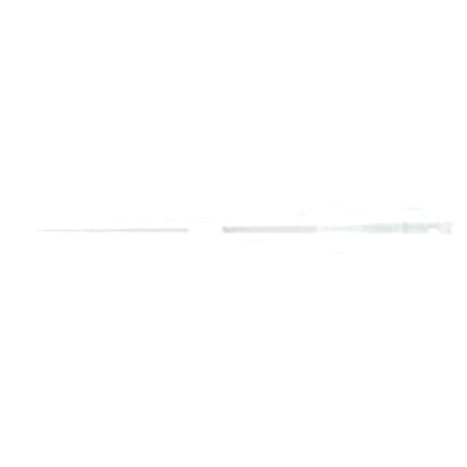 Filter Pipette Tip