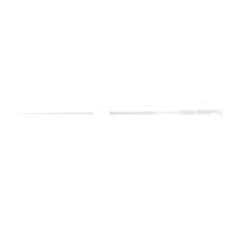 Filter Pipette Tip